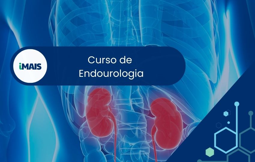 Curso de Endourologia
